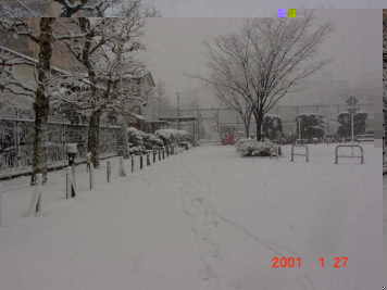 雪の東品川公園